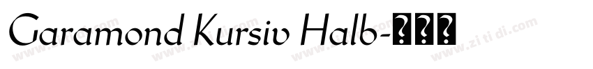 Garamond Kursiv Halb字体转换